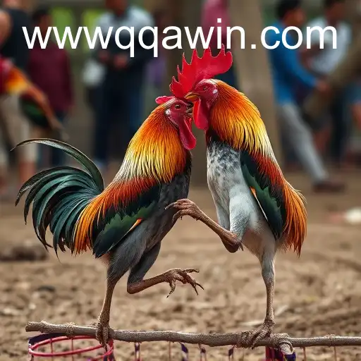 Gaming Experience QQAWIN.COM - 800+ Premium and Exclusive Games